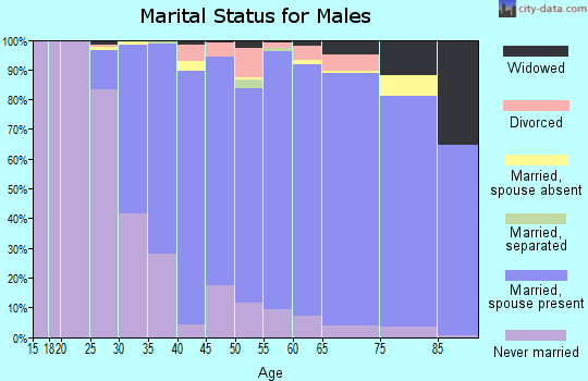 Zip code 11793 marital status for males