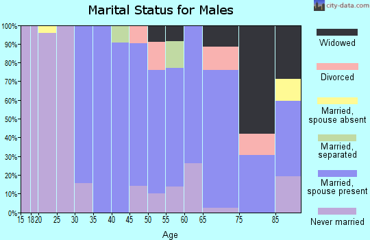 Zip code 11796 marital status for males