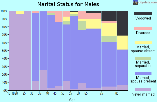 Zip code 11797 marital status for males
