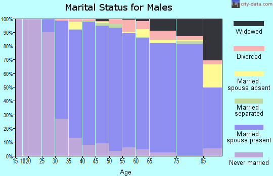 Zip code 11803 marital status for males