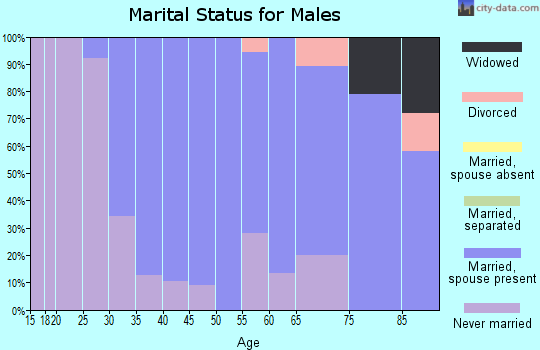 Zip code 11804 marital status for males