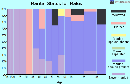 Zip code 11935 marital status for males