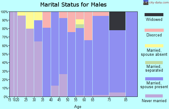Zip code 11940 marital status for males