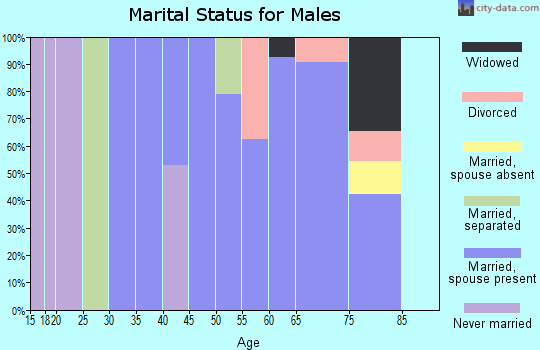 Zip code 11941 marital status for males