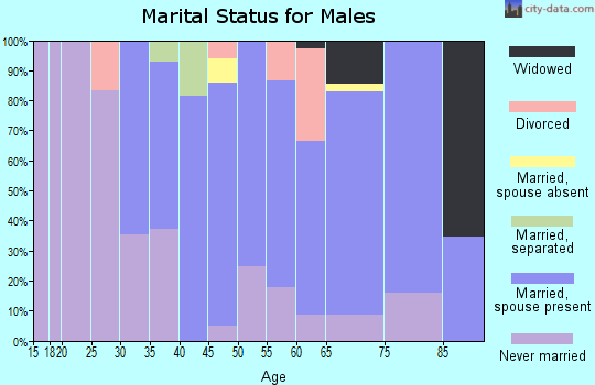 Zip code 11942 marital status for males