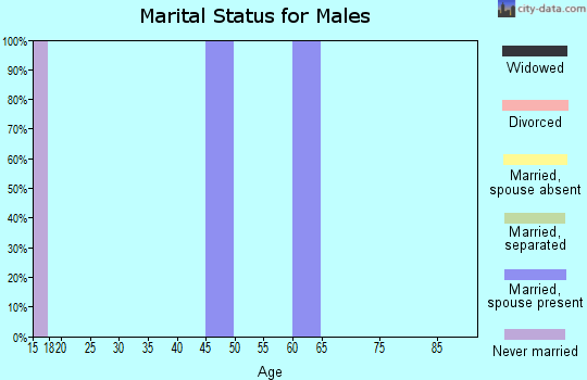 Zip code 11947 marital status for males
