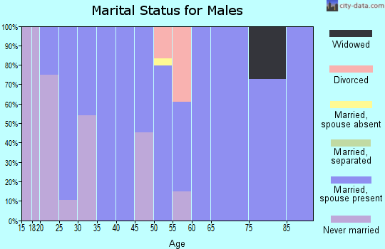 Zip code 11955 marital status for males