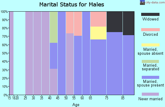 Zip code 11959 marital status for males