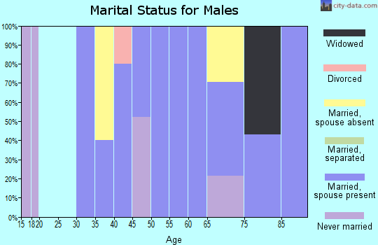 Zip code 11960 marital status for males