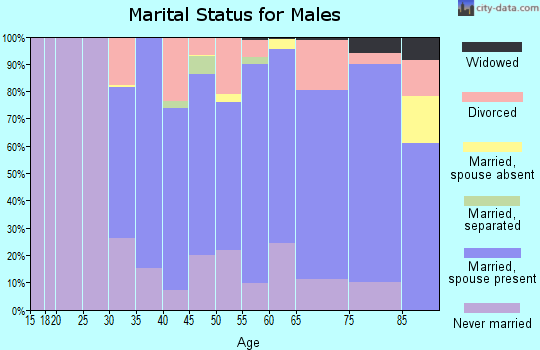 Zip code 11963 marital status for males