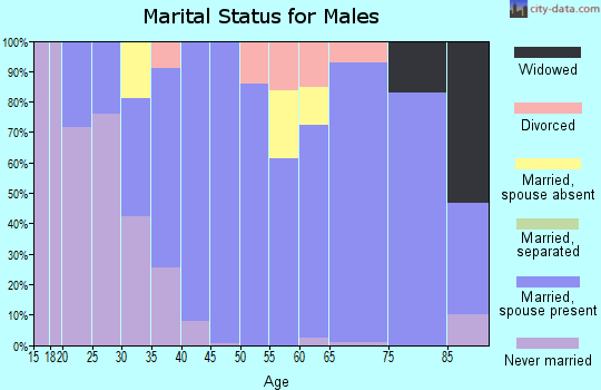 Zip code 11971 marital status for males