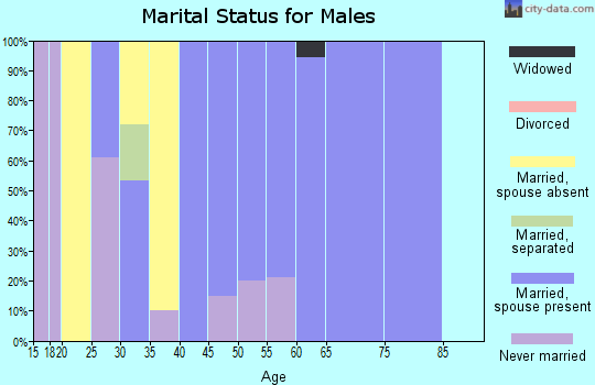 Zip code 11972 marital status for males