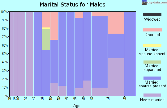 Zip code 11976 marital status for males