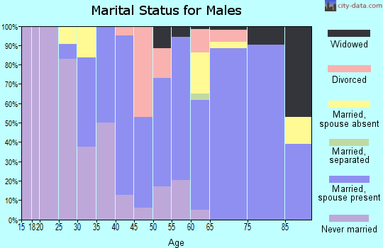 Zip code 11978 marital status for males