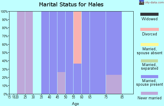 Zip code 12008 marital status for males