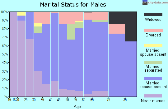 Zip code 12009 marital status for males