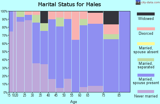 Zip code 12015 marital status for males