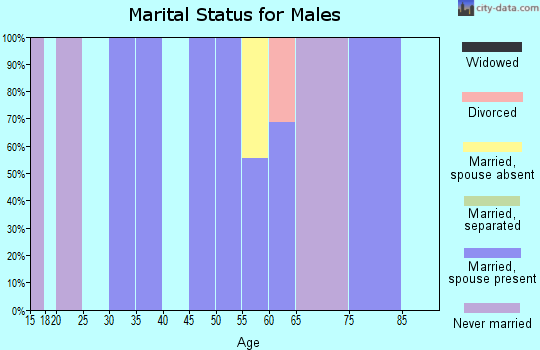 Zip code 12017 marital status for males