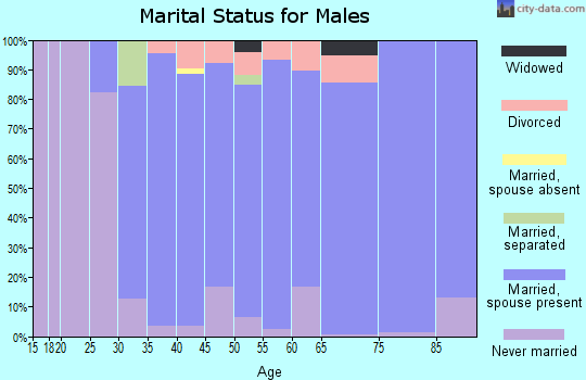 Zip code 12018 marital status for males