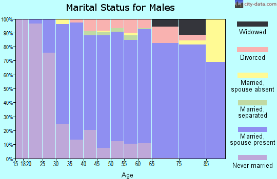 Zip code 12019 marital status for males