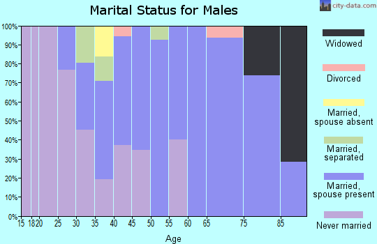 Zip code 12022 marital status for males