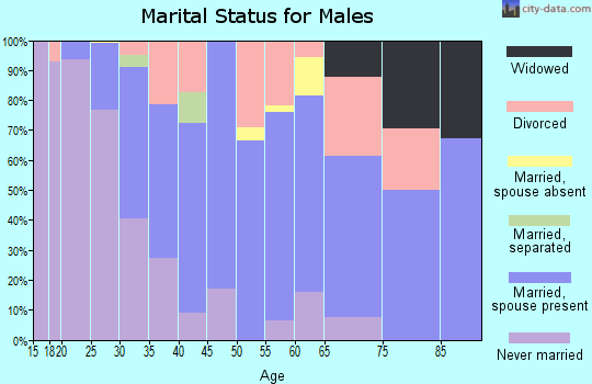 Zip code 12025 marital status for males