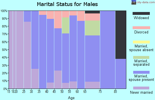 Zip code 12027 marital status for males