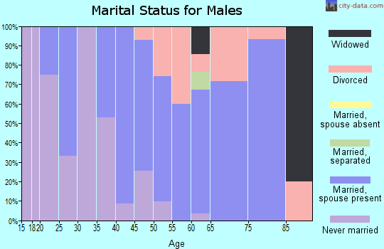 Zip code 12032 marital status for males