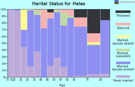 Zip code 12033 marital status for males