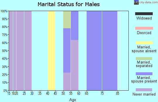 Zip code 12041 marital status for males