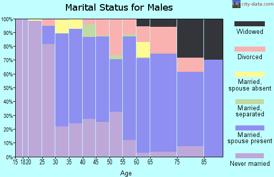 Zip code 12043 marital status for males