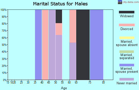 Zip code 12045 marital status for males