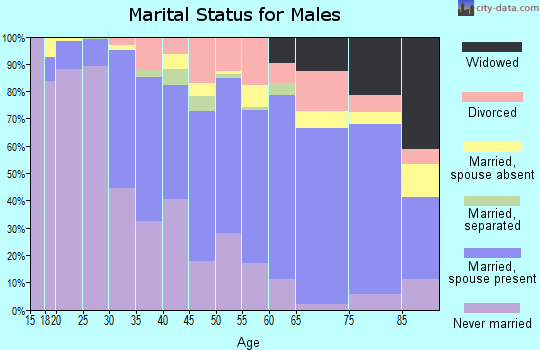 Zip code 12047 marital status for males