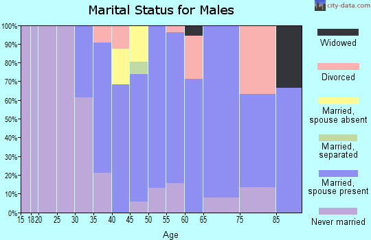 Zip code 12056 marital status for males
