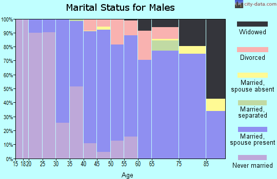 Zip code 12061 marital status for males