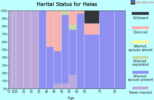 Zip code 12062 marital status for males