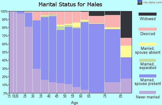 Zip code 12065 marital status for males