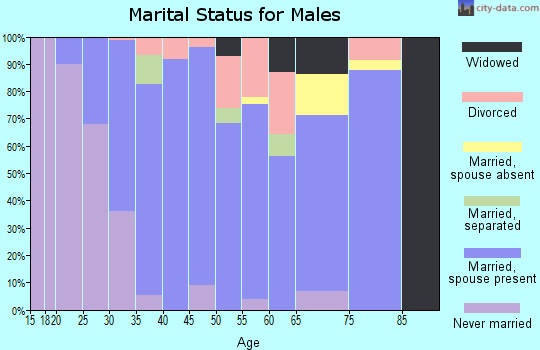 Zip code 12066 marital status for males