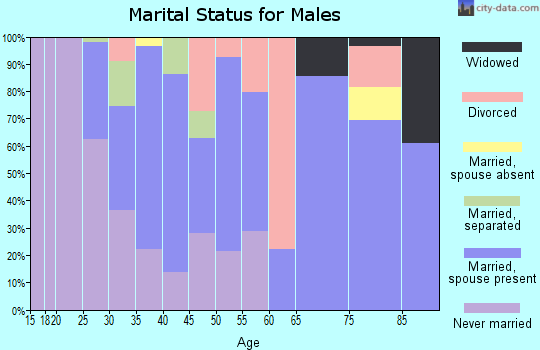 Zip code 12068 marital status for males