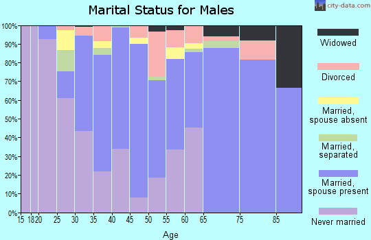 Zip code 12072 marital status for males