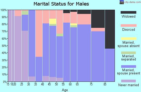 Zip code 12074 marital status for males