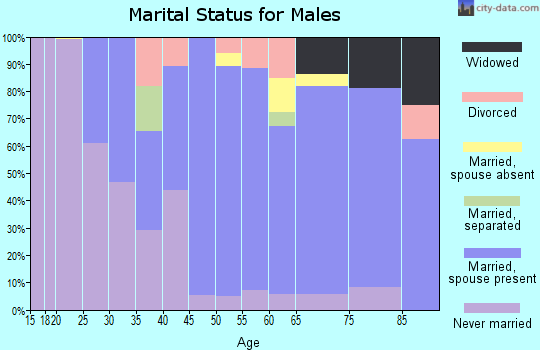 Zip code 12077 marital status for males