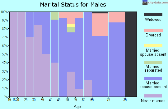 Zip code 12083 marital status for males