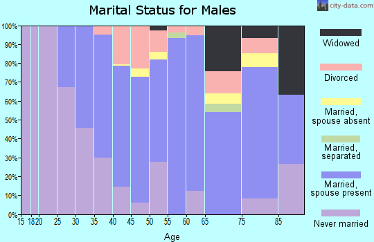 Zip code 12090 marital status for males
