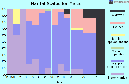 Zip code 12106 marital status for males
