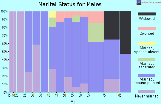 Zip code 12116 marital status for males