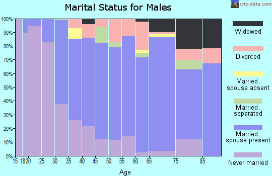 Zip code 12118 marital status for males