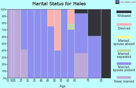 Zip code 12121 marital status for males