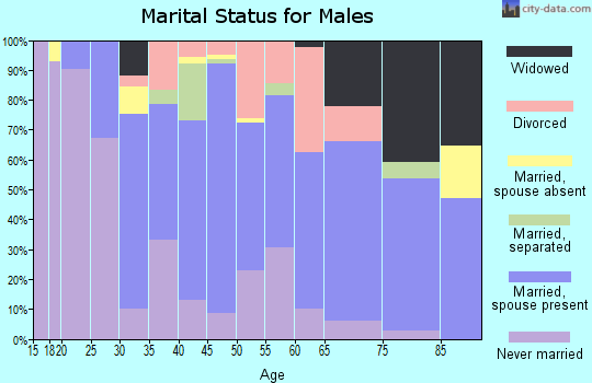 Zip code 12122 marital status for males