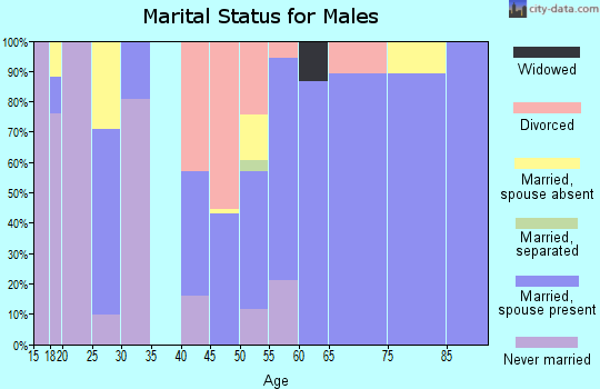 Zip code 12125 marital status for males